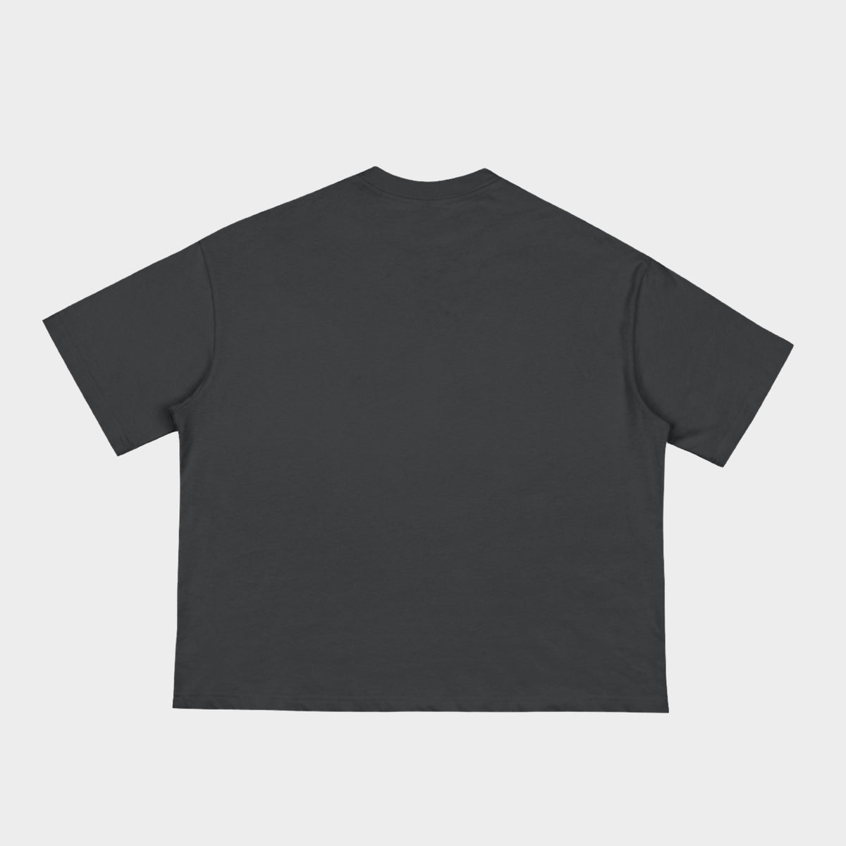 Loose Boxy Spider Tee